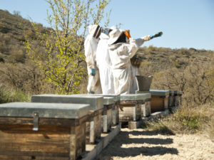 Foto_Ruta_Vino_Cigales