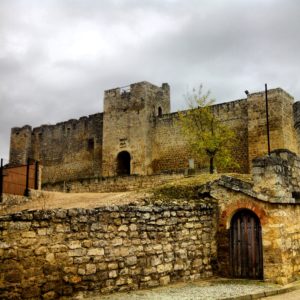 Trigueros_Castillo