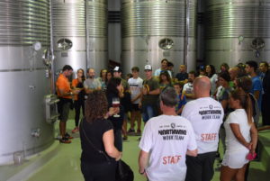 VisitaBodegaFelixSalas_rutadelvinocigales